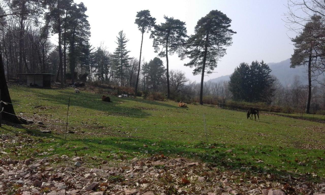 Agriturismo Villa Brugolta Lavena Ponte Tresa Bagian luar foto