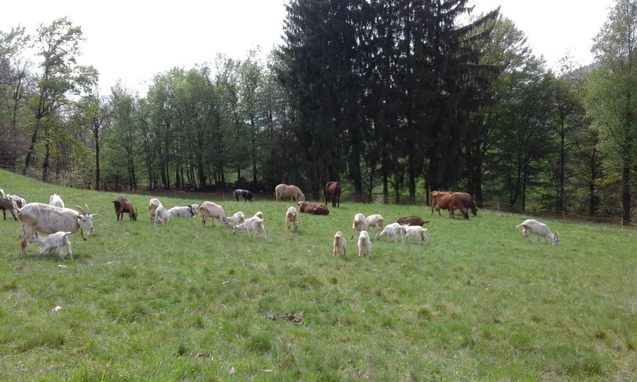 Agriturismo Villa Brugolta Lavena Ponte Tresa Bagian luar foto